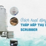Khám Phá Cấu Tạo Tháp Rửa Khí (Scrubber) Công Nghiệp Chuẩn Kỹ Thuật